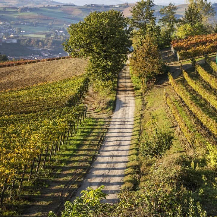 Tasting 13th November